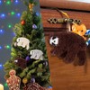 3 Pcs Christmas Sloth Ornaments Furry Animal Plush