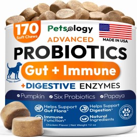 UD Probiotics Dog Supplement 170 Chews Digestive Enzymes Prebiotics for Gut Health Constipation Relief Itchy Skin Allergies