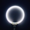 (2pack) 5.5 ’’OD,FC12/T4/ 6400K, T4 Type 12 Watts Circular Fluorescent