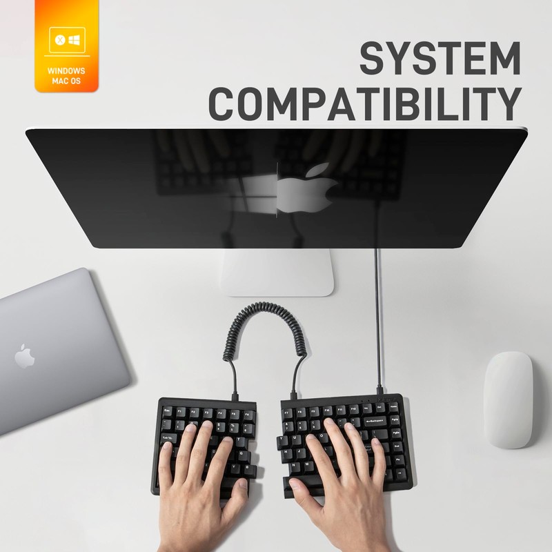 BAROCCOMiSTEL MD770 Classic Black/WF, TKL Ergonomic Mechanical Keyboard, Cherry MX,