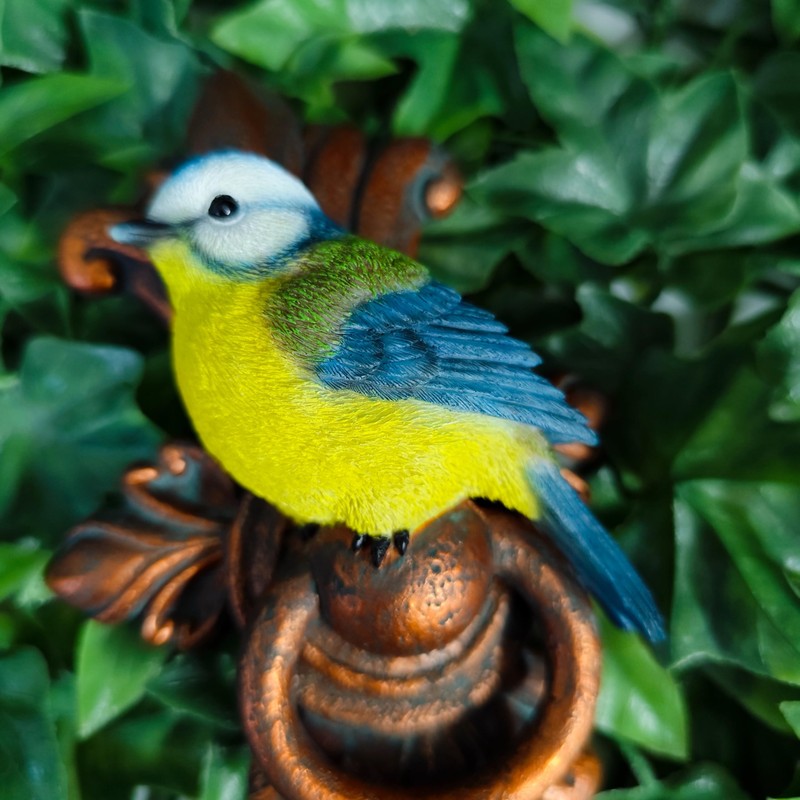 Vivid Arts - Wall Hanging - Blue Tit on Door
