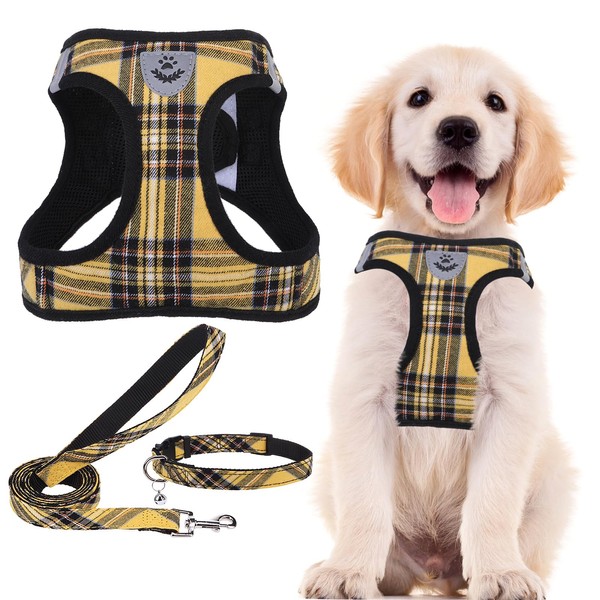 PUPTECK Adjustable Dog Harness Collar and Leash Set Step in