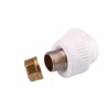 2 Pack Brass Hose Cap Female Thread End Cap Connector