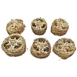 Bonka Bird Toys 3404 Pk6 Small Loofah 2" Diameter by 1.50" Thick Slices Medium Parrot Chew Foot Talon Cage Toy, Conure, Quaker, Ringneck, and Similar