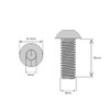 M6 (6mm x 35mm) Hex Socket Button Head Screws -