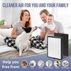Ecofort HP700 Replacement Filter Compatible with Hunter HP700 Series Medium