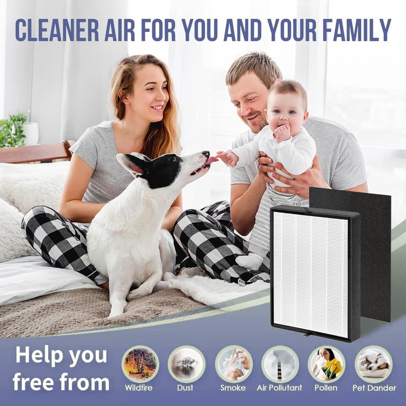 Ecofort HP700 Replacement Filter Compatible with Hunter HP700 Series Medium