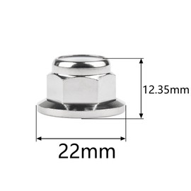 Ruifu Titanium Alloy M6 M8 M10 1.25 1.5mm Flange Nylon Nut Lock Nut Flanged Hex Nut for Anti-Loosening (6, M6)