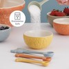 Mason Cash Home to Roost Measuring Spoons | Set of