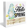 Spring Decor Farmhouse Hello Spring Gnome Wood Box Sign Spring
