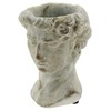 The Bridge Collection Antique Style Old World Greek Statue Head
