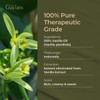 Gya Labs Vanilla Oleoresin Essential Oil (10ml) - Creamy, Sweet
