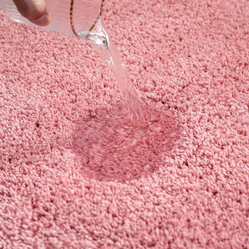 Miulee Decorative Rugs Absorbent Soft Mat
