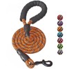 BAAPET 2/4/5/6 FT Dog Leash with Comfortable Padded Handle and
