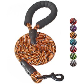 BAAPET 2/4/5/6 FT Dog Leash with Comfortable Padded Handle and Highly Reflective Threads for Small Medium and Large Dogs (5FT-1/2'', Black Orange)