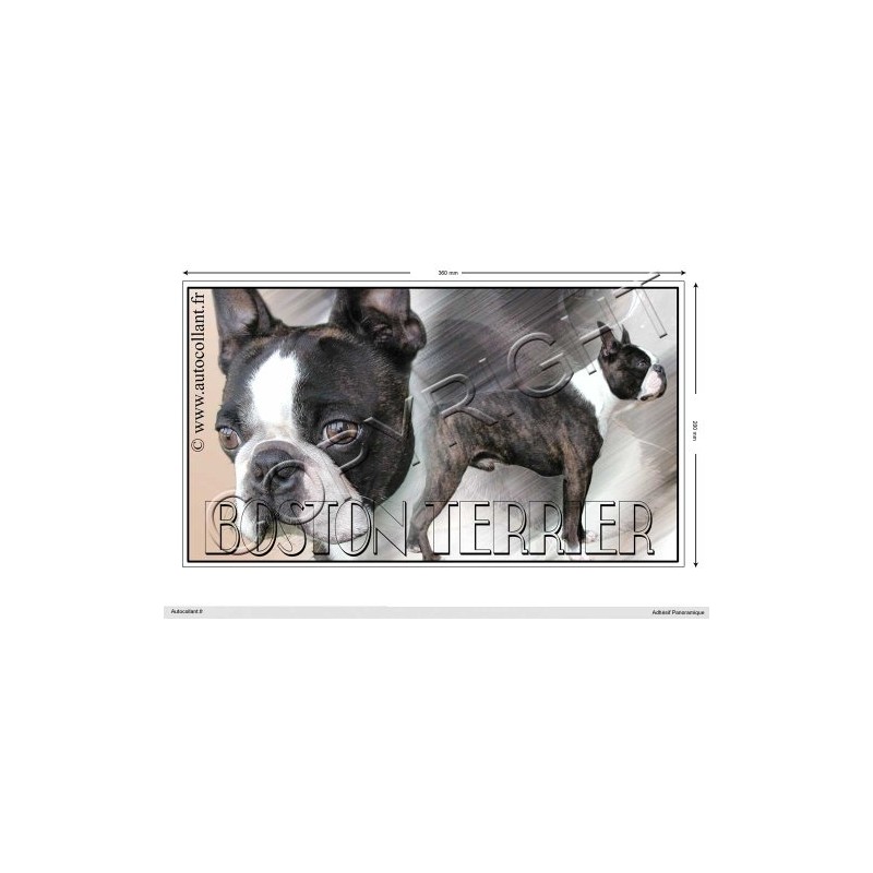 Pets-Easy.com Boston-Terrier Dog Panoramic Sticker 15 cm to 100 cm