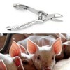 Cunyuer Piglet Teeth Cutter, 14cm Stainless Steel Pig Tooth Nipper
