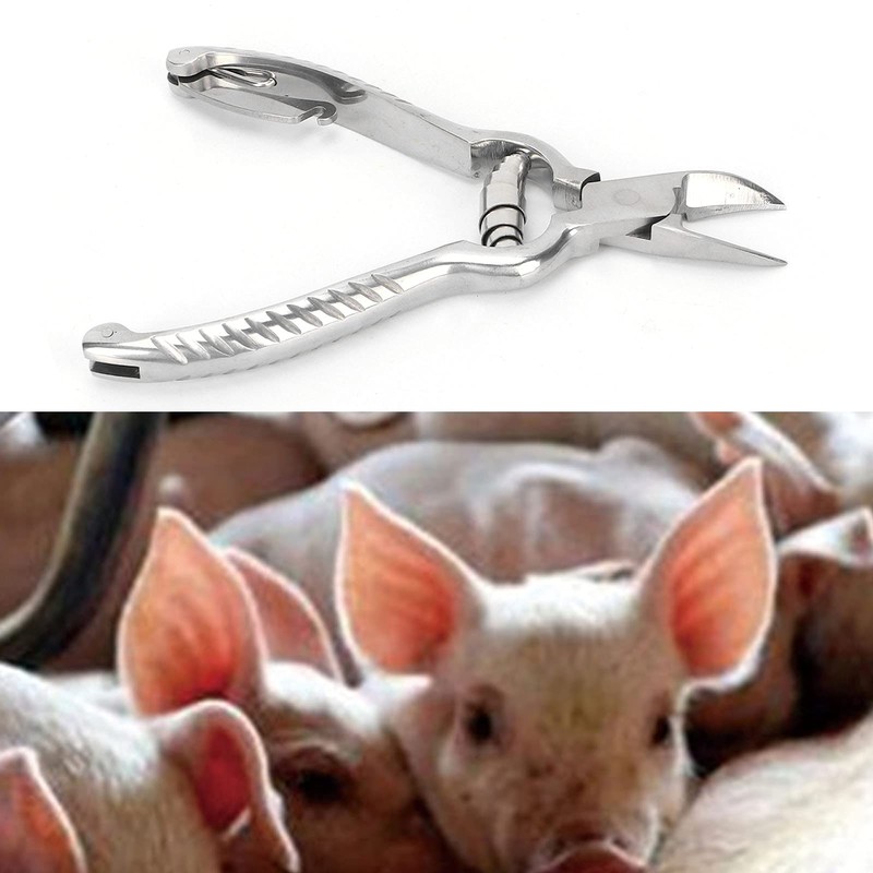 Cunyuer Piglet Teeth Cutter, 14cm Stainless Steel Pig Tooth Nipper