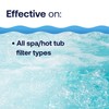 HTH Spa 86123 Filter Cleaner, Spa & Hot Tub Chemical