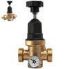 Upgraded 3/4" Water Pressure Regulator, FNPT Double Union, Polymer, Visual