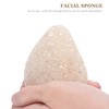 NOLITOY 1pc Sponge Face Wash Facial Face Scrubber Face Bath
