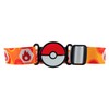 POK Quick Ball Premier Ball and Scorbunny W9 Belt
