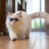 Mini Pet Sunglasses UV Protection Windproof Goggles for Dogs and