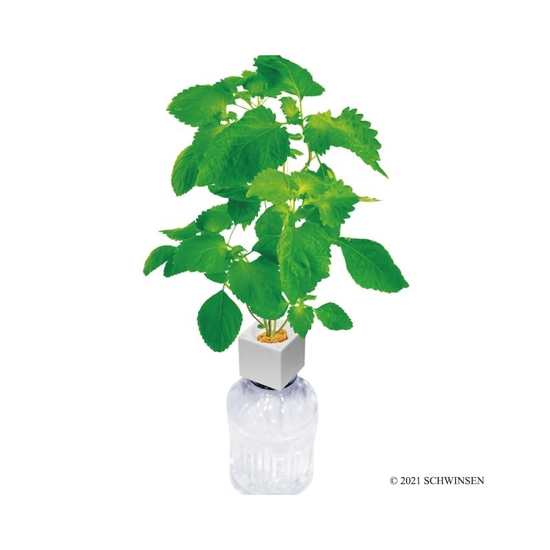 Indoor Cultivation Kit, Large Leaves, Easy Growing with Plastic Bottles,