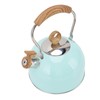 2.5L Whistling Tea Kettle with Handle Stainless Steel Portable Stovetop