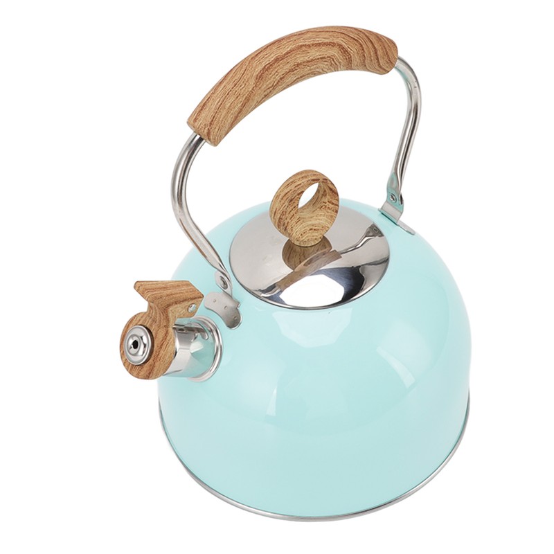 2.5L Whistling Tea Kettle with Handle Stainless Steel Portable Stovetop