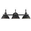 Globe Electric 65554 3-Light Vanity Light, Matte Black, White Interior