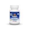 Source Naturals Melatonina 2.5 mg - 60 pastillas con sabor