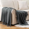 Battilo Dark Grey Throw Blanket for Couch, Soft Cozy Chenille
