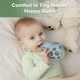 Haakaa Silicone Bear 3-in-1 Teether,Baby Teether,Teething Toys,Food-Grade Silicone,Mist Blue