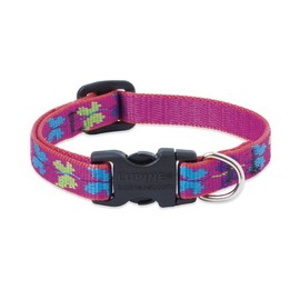 LupinePet Originals 1/2" Wing It 8-12" Adjustable Collar for Small Dogs