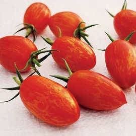 Park Seeds Red Torch Tomato, Pack of 10 Seeds