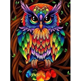 ParNarZar 5D Diamond Painting Full Pictures, Colour Owl Colourful 35 x 45 cm, DIY Diamond Painting Set, Rhinestone Embroidery, Diamond Painting, Handmade Crafts, Full Diamond Cross Stitch Mosaic