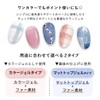 Reliable Japanese Fargel Artist Gel Series Color Gel (AK2, Beige