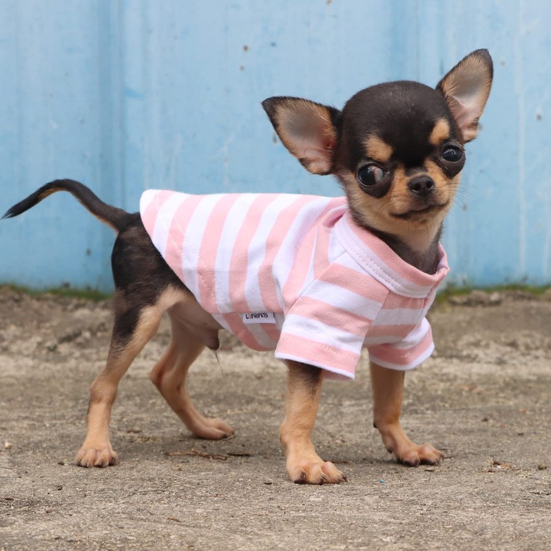 LOPHIPETS 100% Breathable Cotton Striped Dog Tee Shirt T-Shirt for