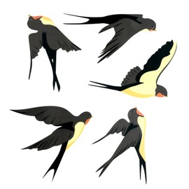 Wonvify Pack of 5 Anti-Collision Window Sticker Shape, Window Sticker Alarm Bird Window Sticker, Prevents Birds from Hitting Your Windows and on Window Glass Party Accessories