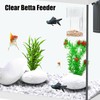 Clear Betta Fish Feeder, Feeding Tube, Tube Shrimp, Shrimp Feeding