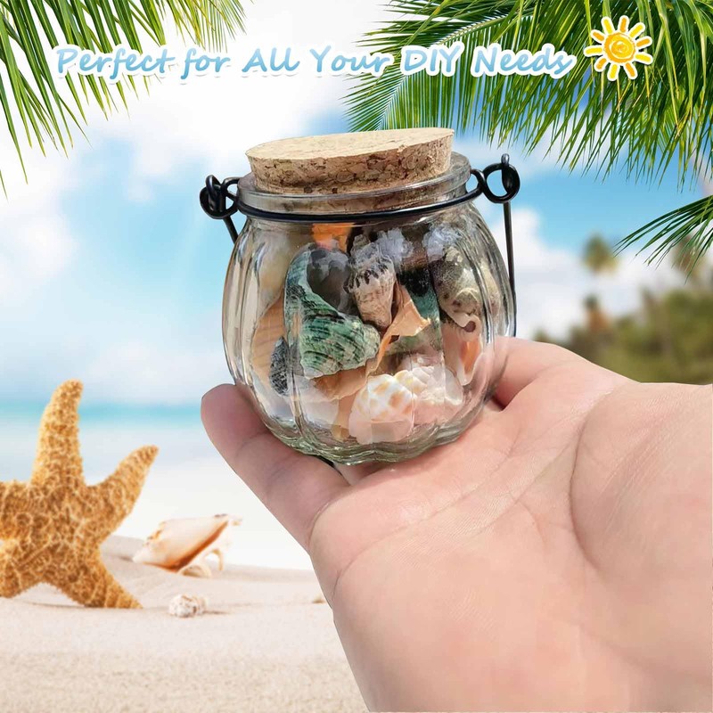 BetterJonny 250+ Grams Sea Shells Mixed Beach Seashells of 2-6
