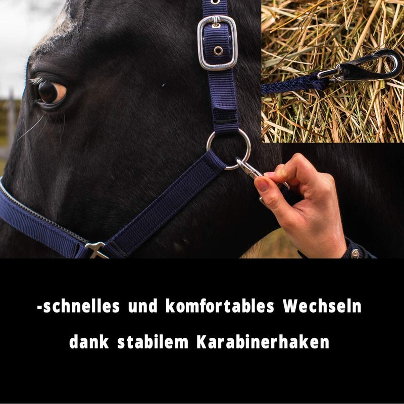 Pferdelinis Halter for Warmblood, Thoroughbred, Cold Blood, Pony - Stable