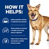 Diet Canine i/d Digestive Care Adult Wet Food for Dogs
