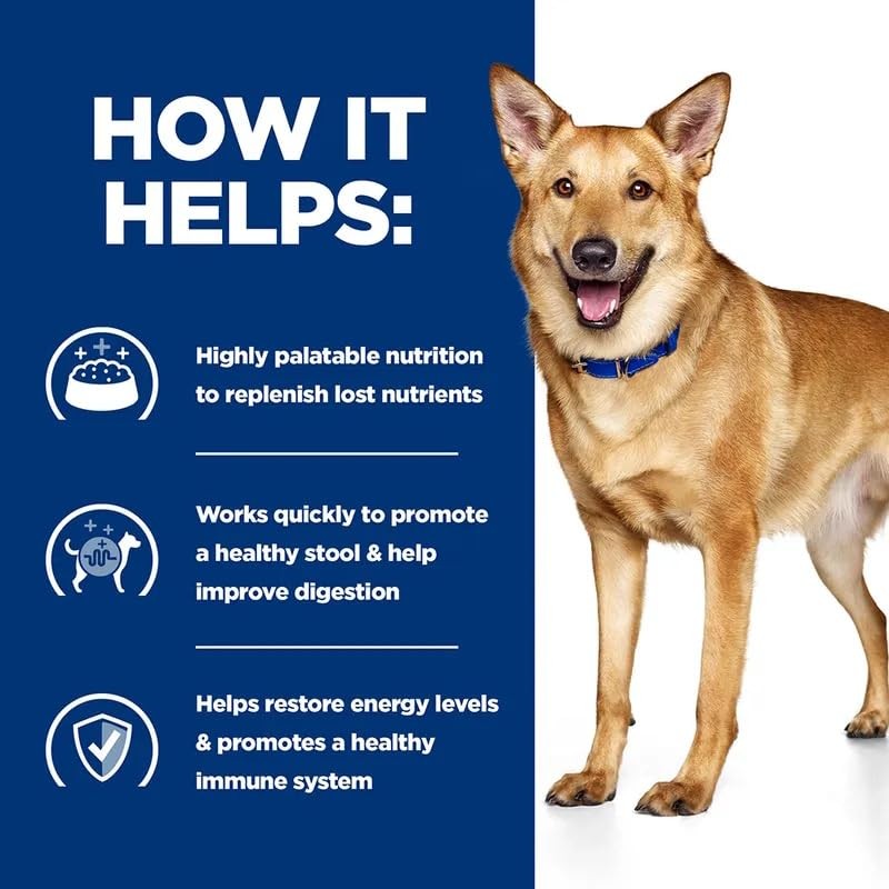 Diet Canine i/d Digestive Care Adult Wet Food for Dogs