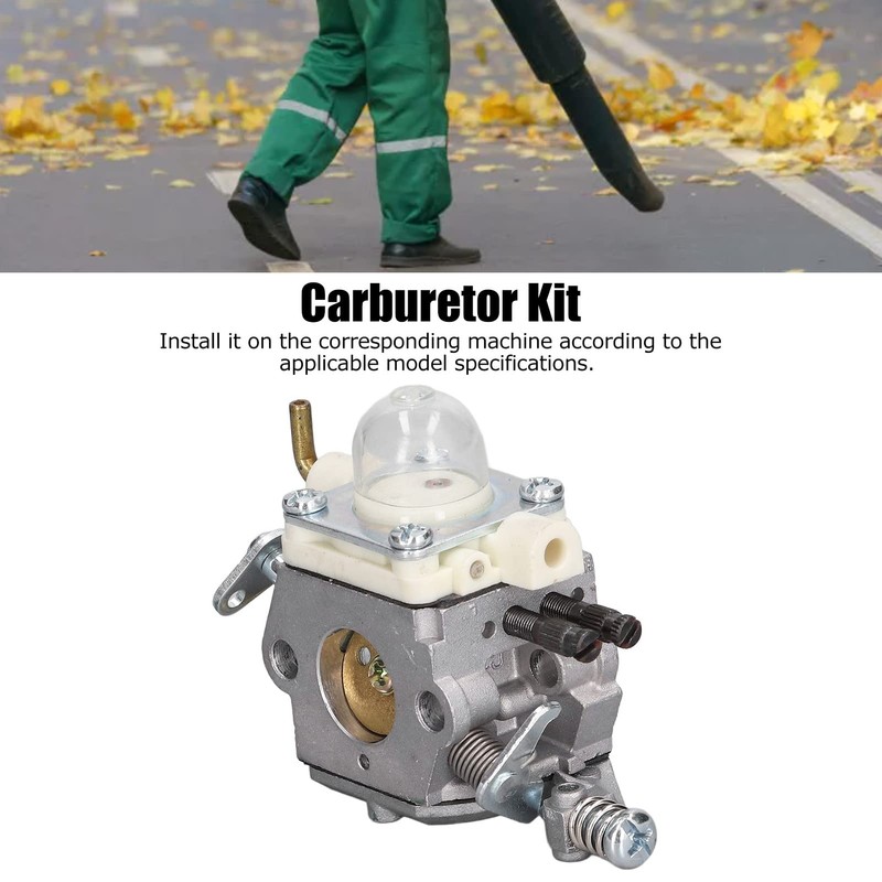LAJS CARBOHYDRATE, STABLE WORKING EFFICIENCY RELIABLE STANDARD DESIGN CARBURTOR FOR