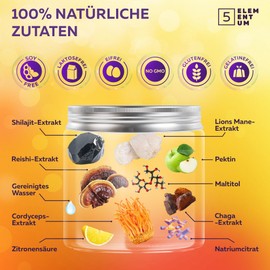 Natural Shilajit Gummibärchen 1200MG - Premium Pilz-Komplex mit Löwenmähne, Reishi, Chaga & Cordyceps - Shilajit aus dem Himalaja für Energie & Vitalität - 60 Stück