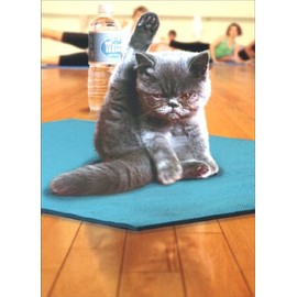 Kitten Yoga Cat Just for Fun Card
