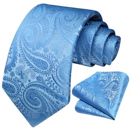 HISDERN Men's Wedding Ties and Pocket Square, Paisley Tie Set, Plain, in Various Colours