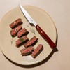 Arcos 4 inch Steak Knife in Nitrum Stainless Steel. Meat